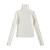 Elastic slim fit high neck long sleeved sweater
